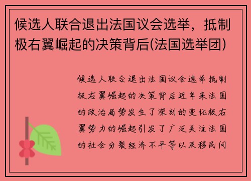 候选人联合退出法国议会选举，抵制极右翼崛起的决策背后(法国选举团)